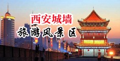 男女草逼喷水网站中国陕西-西安城墙旅游风景区