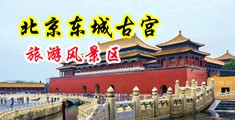 大鸡巴操逼逼视频免费的中国北京-东城古宫旅游风景区